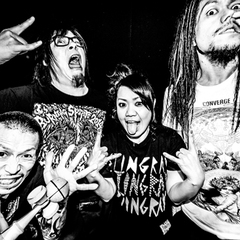 Maximum The Hormone
